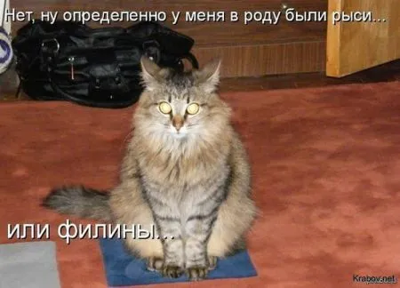 Сегодняшняя солянка комиксов и приколов