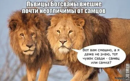 Сегодняшняя солянка комиксов и приколов