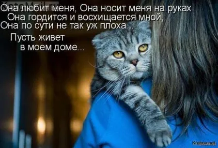 Сегодняшняя солянка комиксов и приколов
