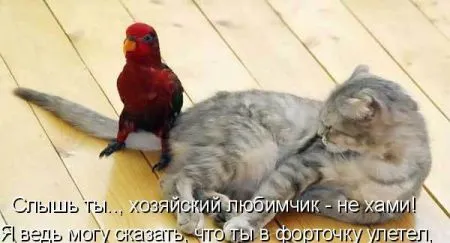Фотоприколы про животных с надписями