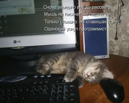 Фотоприколы про животных с надписями