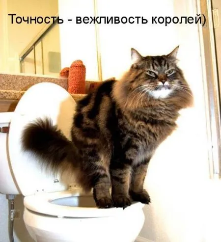 Фотоприколы про животных с надписями