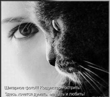 Фотоприколы про животных с надписями