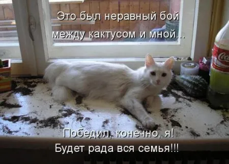 Фотоприколы про животных с надписями