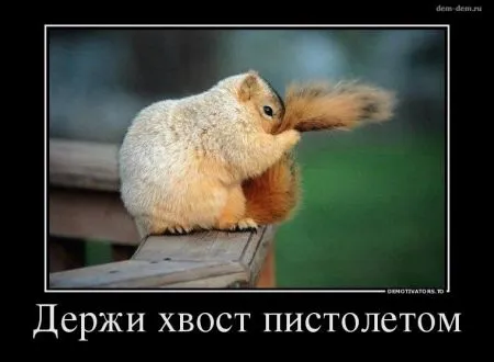 Мы собрали Свежие демотиваторы