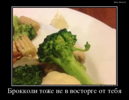 Мы собрали Свежие демотиваторы