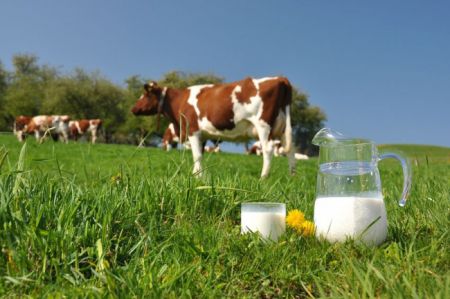 Власти Крыма просят РФ разрешить украинское молоко