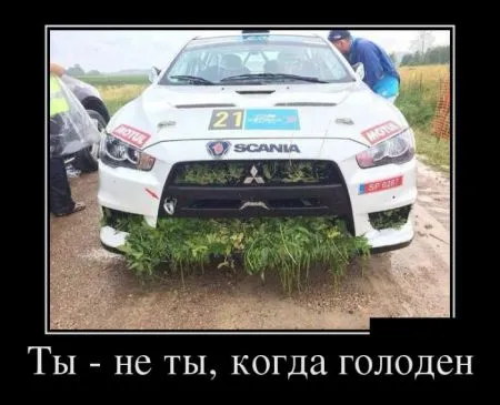 Лучшие демотиваторы вечера