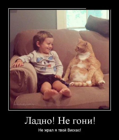 Смешные демотиваторы хорошего настроения