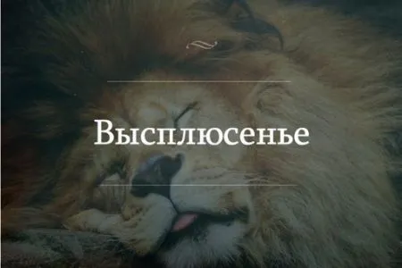 Игра слов