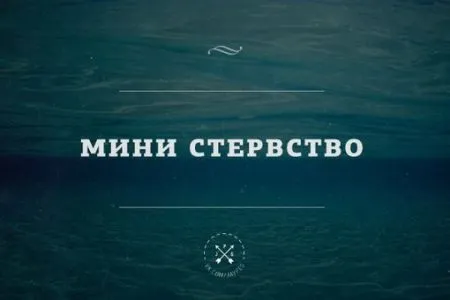 Игра слов