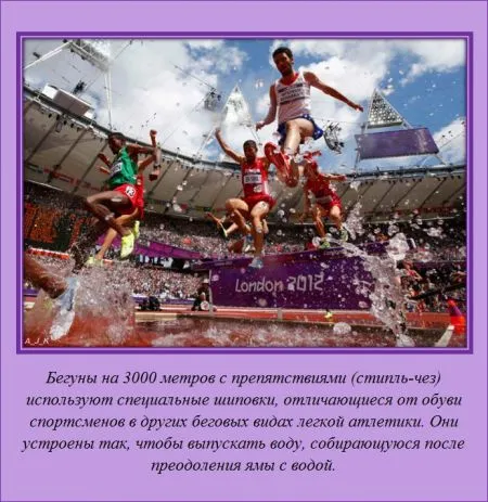Занимательные факты обо всем на свете