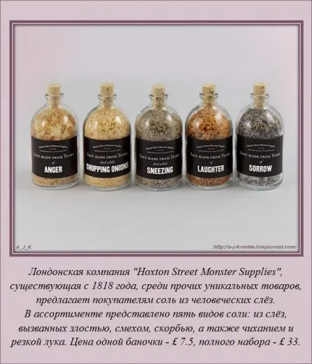 Занимательные факты обо всем на свете