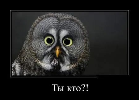 Пачка демок на ночь если ты еще не спишь