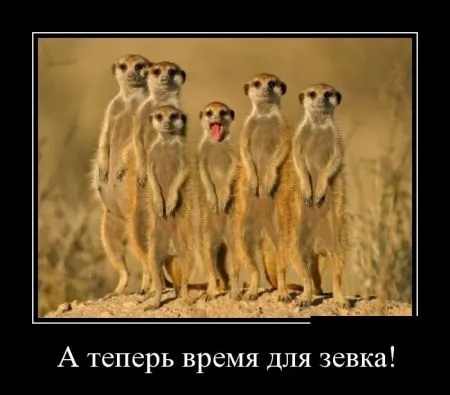 Пачка демок на ночь если ты еще не спишь