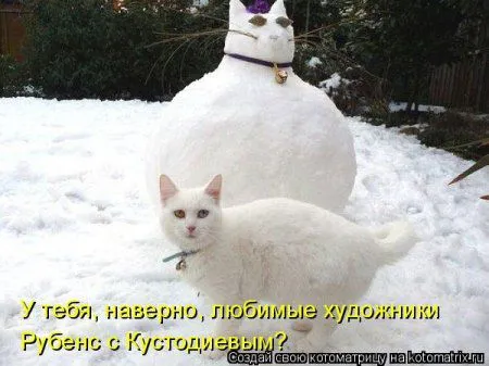Котоматрица, животные приколы