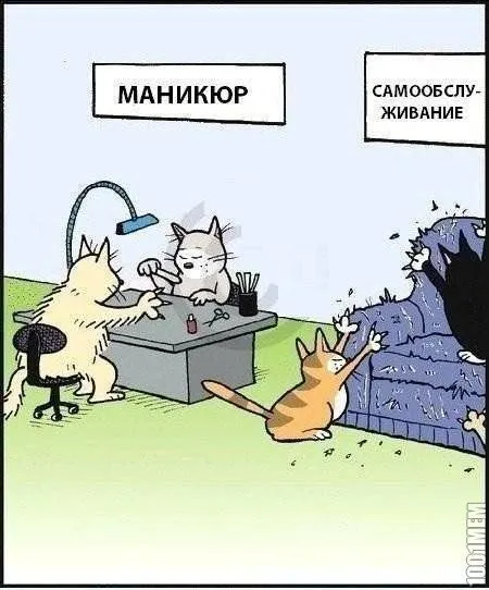 Пост приколов Пост приколов