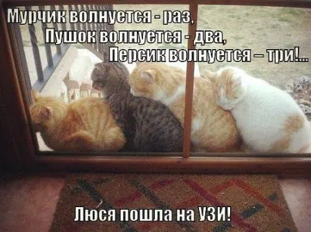 Пост приколов Пост приколов