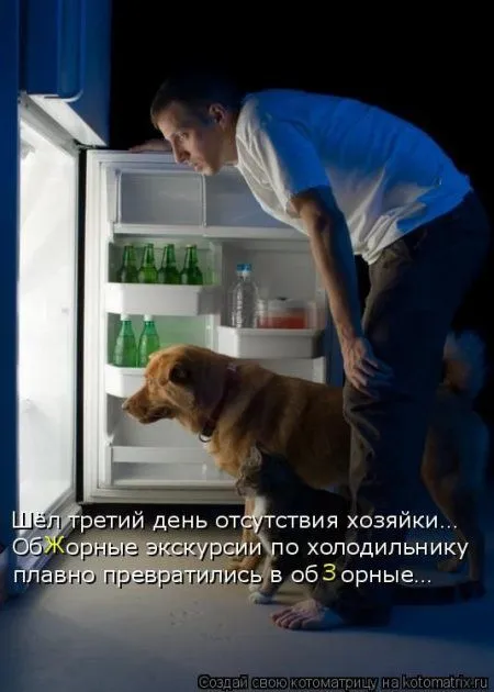 Кото-собакоматрицы