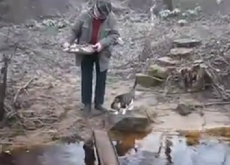 Дедушка и его кот переходят реку