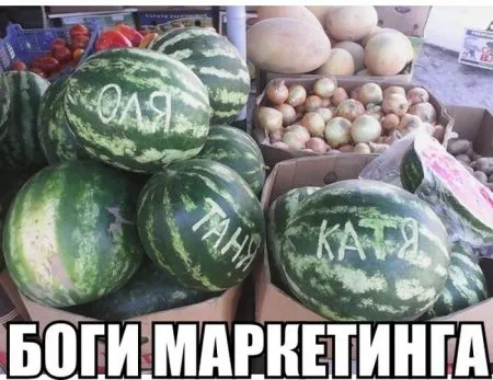 Веселые и картинки (14 фото)