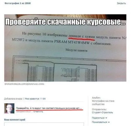 Смешные комментарии из социальных сетей (31 фото)