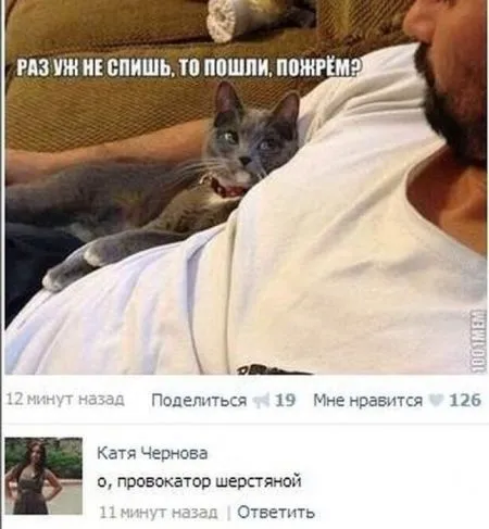 Смешные комментарии из социальных сетей (31 фото)