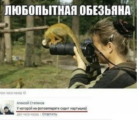 Смешные комментарии из социальных сетей (31 фото)