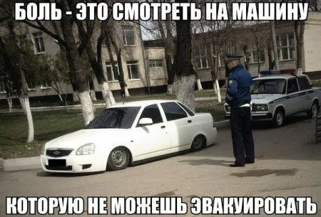Приколы в картинках и фото