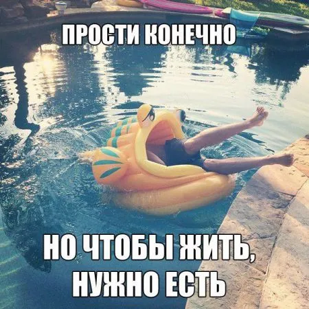 Приколы в картинках и фото