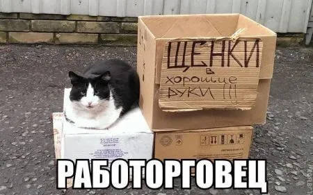 Приколы в картинках и фото
