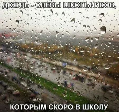 Приколы в картинках и фото