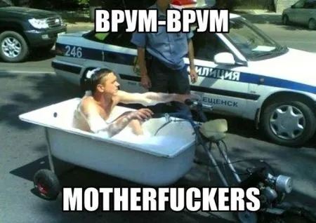 Подборка прикольных фото