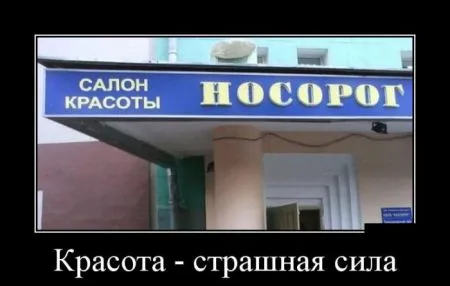 Подборка самых новых и прикольных демотиваторов (22 шт)