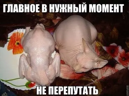 Приколы в картинках (19 фото)