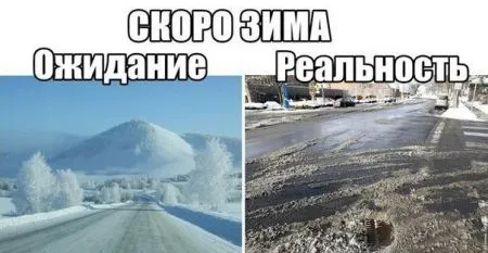 Приколы в картинках (19 фото)