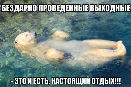 Приколы в картинках (19 фото)