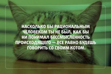 Вот такая игра слов получилась Вот такая игра слов получилась