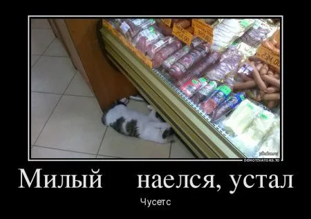 Демотиваторы. Так, для разнообразия