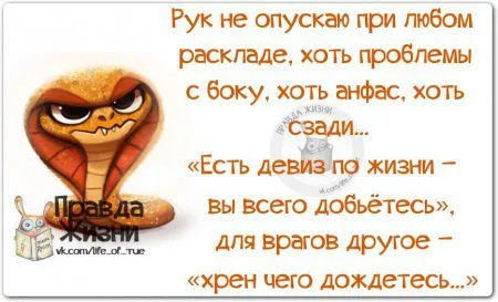 "Правдивые цитаты с юмором