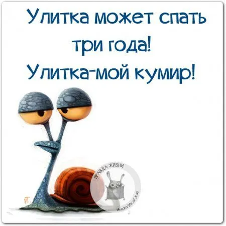 Правдивости с юмором