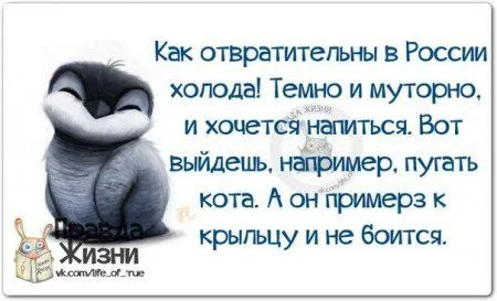 Правдивости с юмором
