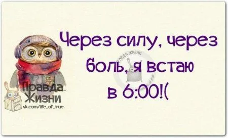 Правдивости с юмором