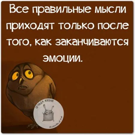 Правдивости с юмором