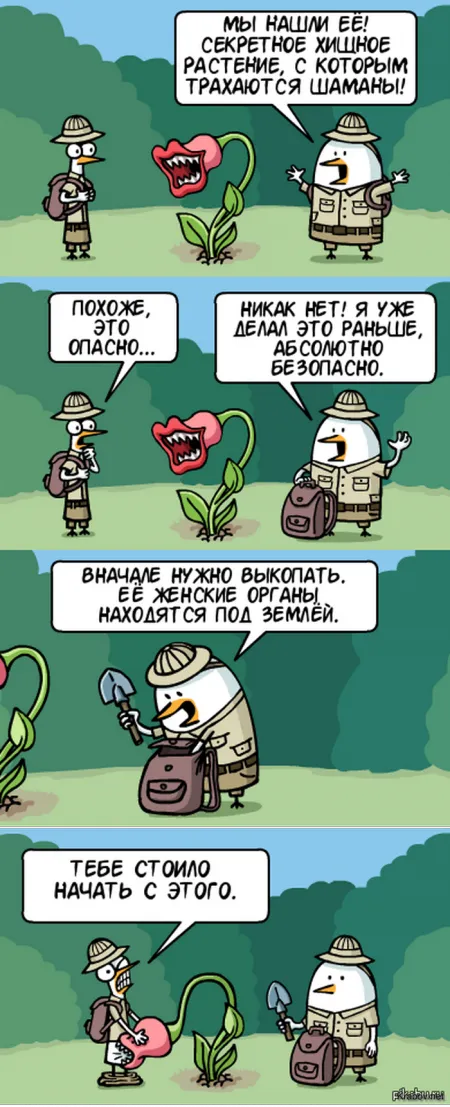 Солянка веселых картинок