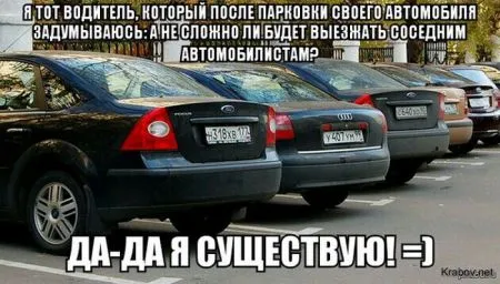 Солянка веселых картинок