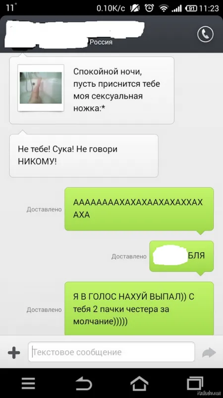 Солянка веселых картинок