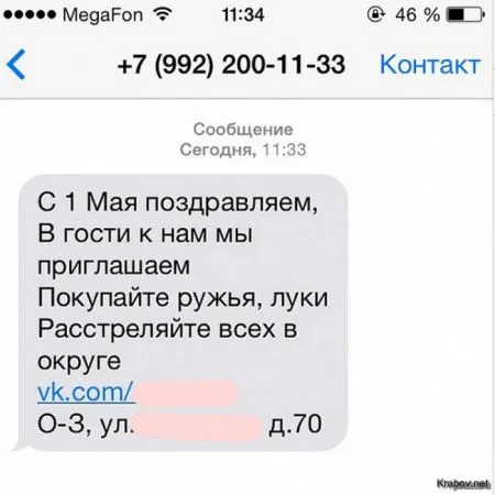 Солянка веселых картинок