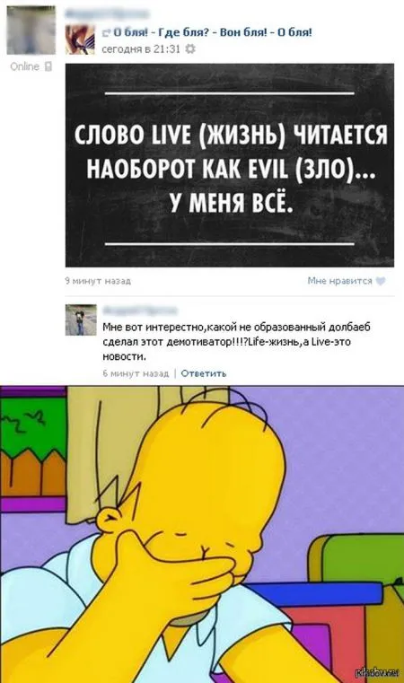 Солянка веселых картинок