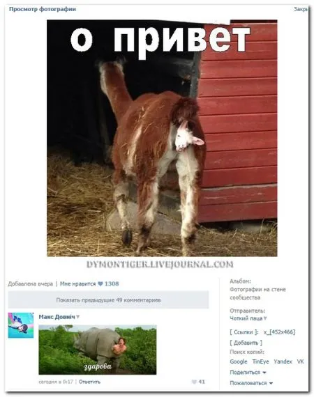 Очередная порция смешных и прикольных комментариев из социальных сетей